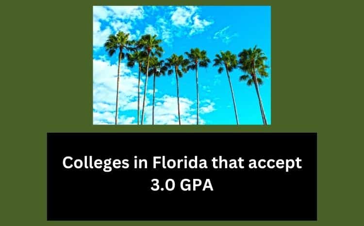 Colleges in Florida that accept 3.0 GPA
