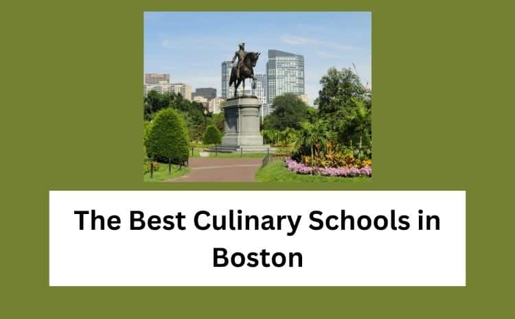The Best Culinary Schools in Boston