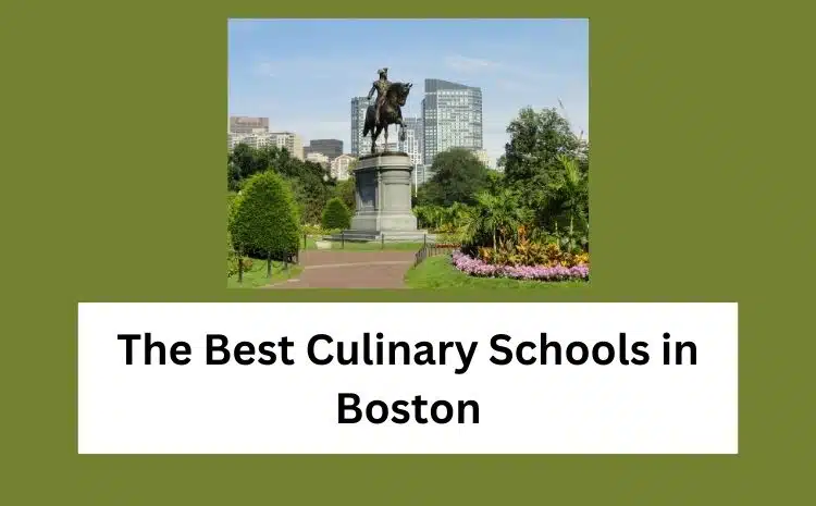 The Best Culinary Schools in Boston
