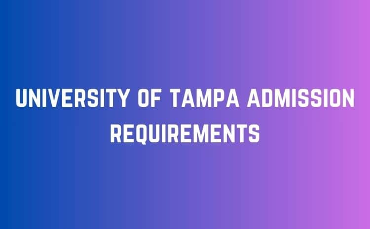 What is the University of Tampa Admission Requirements for 2024-2025