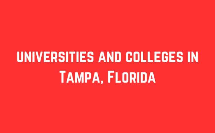 list of universities and colleges in Tampa, Florida