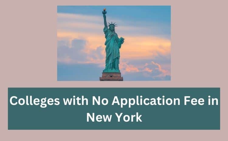 Top 6 Colleges with No Application Fee in New York